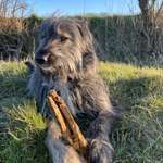 Ersteller:in Gesa Profilbild