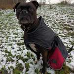 Ersteller:in Thien Profilbild