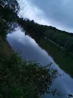 Hundeauslaufgebiet-Lettenbachsee-Bild