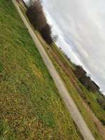 Hundeauslaufgebiet-Besslauerteich-Bild