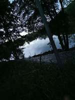 Hundeauslaufgebiet-Lettenbachsee-Bild