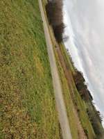 Hundeauslaufgebiet-Besslauerteich-Bild