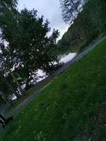 Hundeauslaufgebiet-Lettenbachsee-Bild