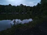 Hundeauslaufgebiet-Lettenbachsee-Bild