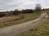 Hundeauslaufgebiet-Besslauerteich-Bild