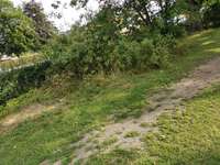 Hundeauslaufgebiet-Leimitzer Straße/Jägerzeile-Bild