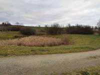 Hundeauslaufgebiet-Besslauerteich-Bild