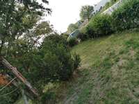 Hundeauslaufgebiet-Leimitzer Straße/Jägerzeile-Bild