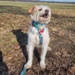 Ersteller:in Emily Profilbild