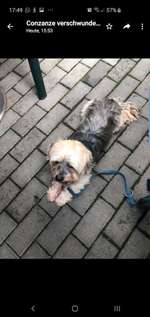 Suchmeldung-Ronny-Bild