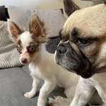 Ersteller:in Nadine Profilbild