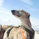 Ersteller:in Friederike Profilbild