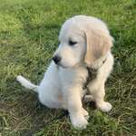 Ersteller:in Sophia Profilbild