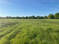 Hundeauslaufgebiet-Werder Wiesen-Bild