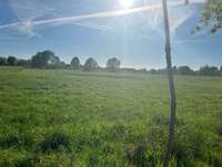 Hundeauslaufgebiet-Werder Wiesen-Bild