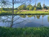 Hundeauslaufgebiet-Werder Wiesen-Bild
