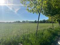 Hundeauslaufgebiet-Werder Wiesen-Bild