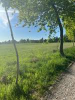 Hundeauslaufgebiet-Werder Wiesen-Bild