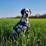 Ersteller:in Lena Profilbild