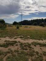 Hundeauslaufgebiet-Hattingen-Bild