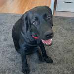 Ersteller:in Javier Profilbild