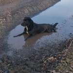 Ersteller:in Denise Profilbild