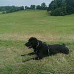 Ersteller:in Denise Profilbild