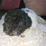 Ersteller:in Nina Profilbild