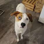 Ersteller:in DenIz Profilbild