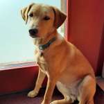 Ersteller:in Dominik Profilbild