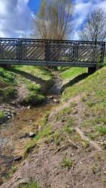 Hundeauslaufgebiet-Gillesbachtal-Bild