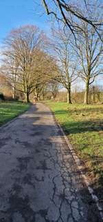 Hundeauslaufgebiet-Gillesbachtal-Bild