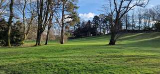 Hundeauslaufgebiet-Eurogress-Bild