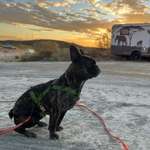 Ersteller:in Steffi &Jakob Profilbild