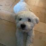 Ersteller:in Pravda Profilbild