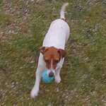 Ersteller:in Michel Profilbild