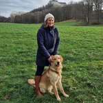 Ersteller:in Marlen Profilbild