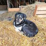 Ersteller:in D. Profilbild