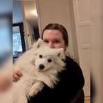 Ersteller:in Angelina Profilbild