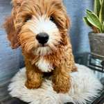 Ersteller:in Jennifer Profilbild