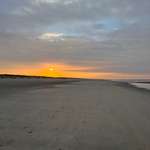 Ersteller:in Eva Profilbild