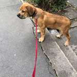 Ersteller:in Aleksandar Profilbild