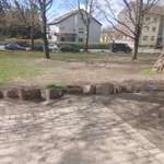 Hundeauslaufgebiet-Kiefernstraße-Bild