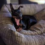 Ersteller:in Tim Profilbild