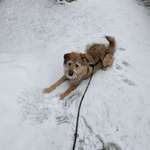 Ersteller:in Lisa Profilbild