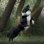 Ersteller:in Suna Profilbild