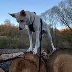 Ersteller:in Alina Profilbild