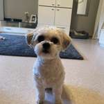 Ersteller:in Jennifer Profilbild