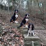 Ersteller:in Christiane Profilbild