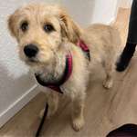 Ersteller:in Alexandra Profilbild